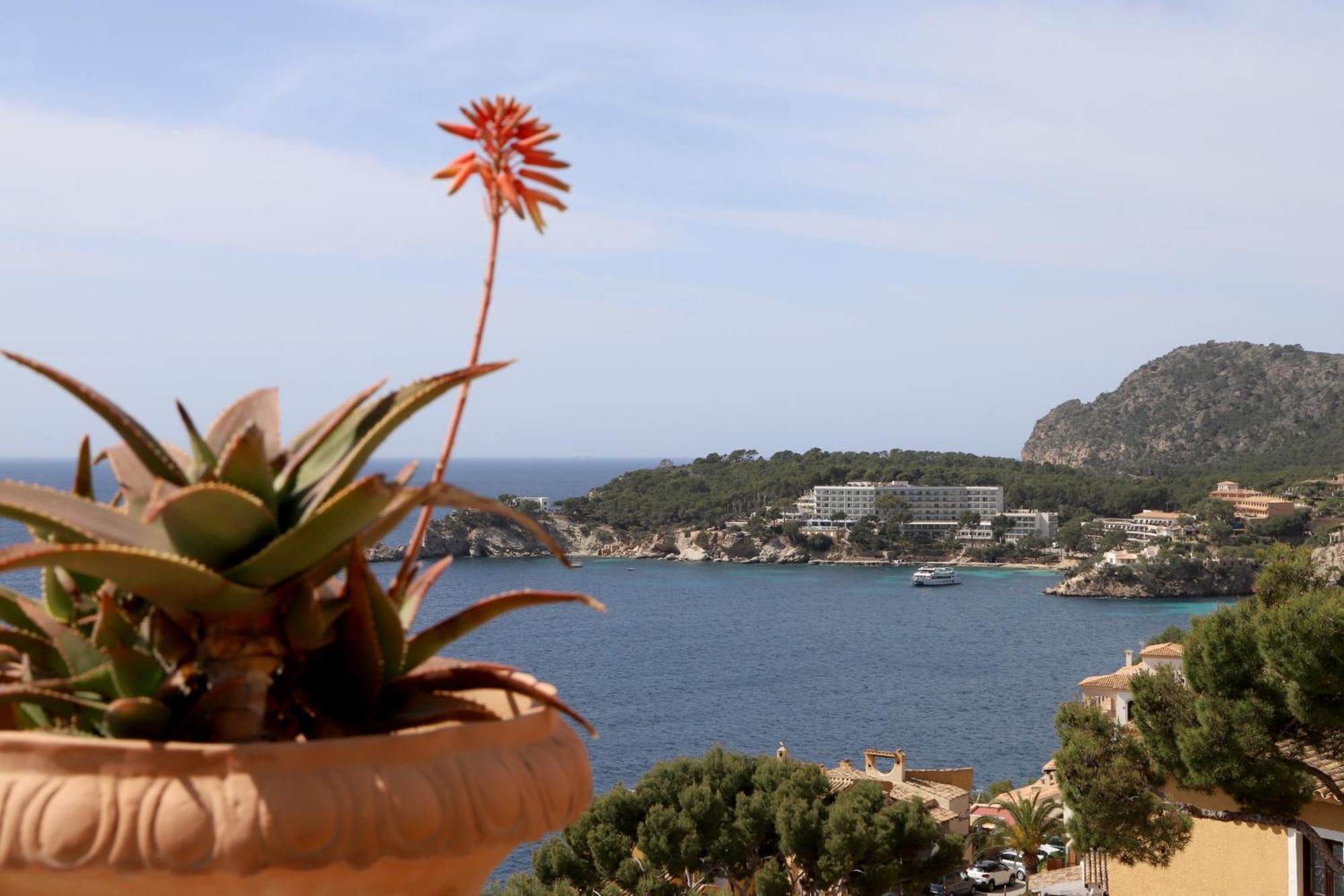 Ferienwohnung Aldea 2 Cala Fornells Peguera Exterior foto
